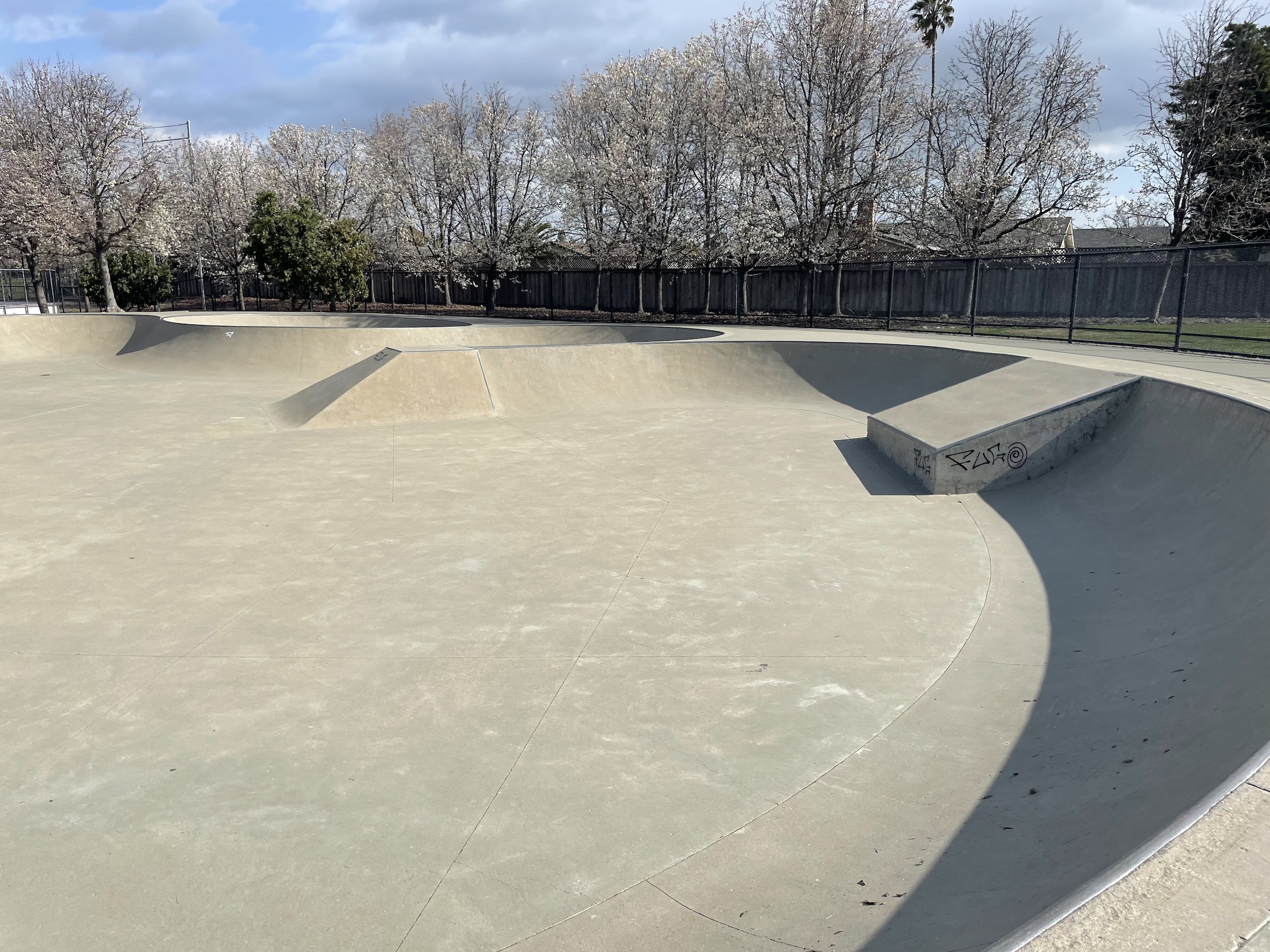 Pleasanton skatepark